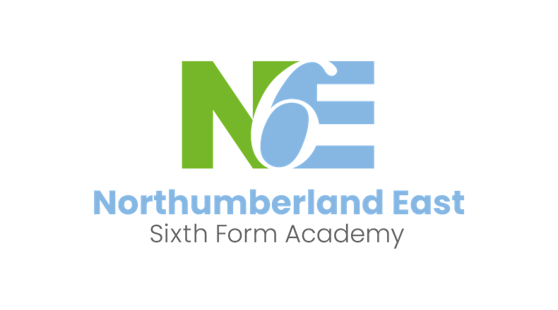 NE6 logo
