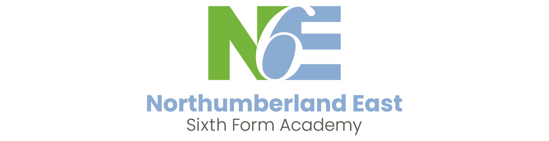 NE6 logo
