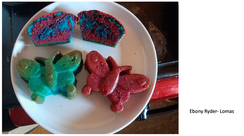 Virtual school cooking 